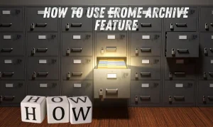 Erome Archive Feature